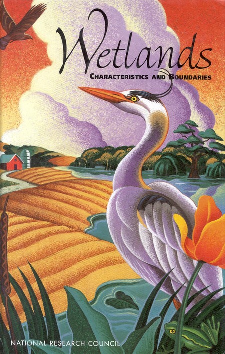Cover: Wetlands: Characteristics and Boundaries