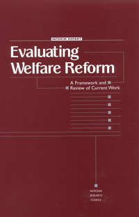 Evaluating Welfare Reform: A Framework and Review of Current Work, Interim Report
