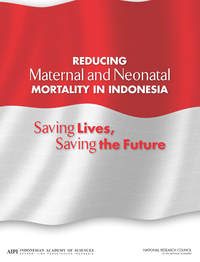 Reducing Maternal and Neonatal Mortality in Indonesia: Saving Lives, Saving the Future