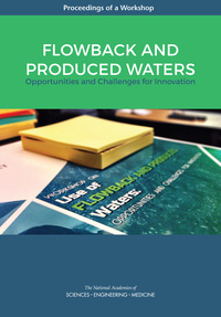 Flowback and Produced Waters: Opportunities and Challenges for Innovation: Proceedings of a Workshop