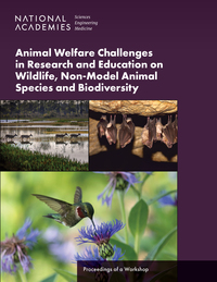 Animal Welfare Challenges in Research and Education on Wildlife, Non-Model Animal Species and Biodiversity: Proceedings of a Workshop