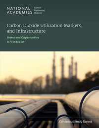 Carbon Dioxide Utilization Markets and Infrastructure: Status and Opportunities: A First Report