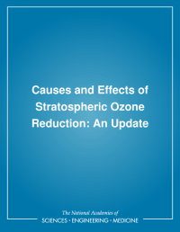 Causes and Effects of Stratospheric Ozone Reduction: An Update