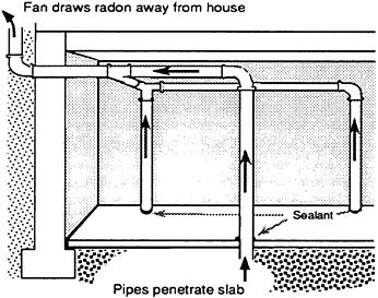radon case study answer key