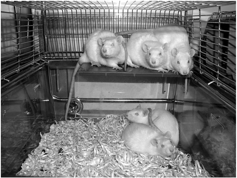 Session 3: Approaches to Current Guidelines--US and Europe | The  Development of Science-based Guidelines for Laboratory Animal Care:  Proceedings of the November 2003 International Workshop |The National  Academies Press