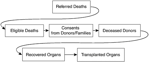 organ donation essay intro