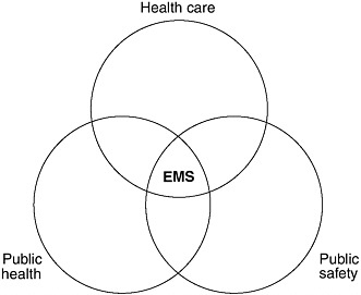 emergency medical services essay