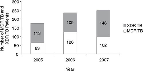 FIGURE 2-6 Numbers of MDR TB and XDR TB patients in Tugela Ferry, 2005–2007.