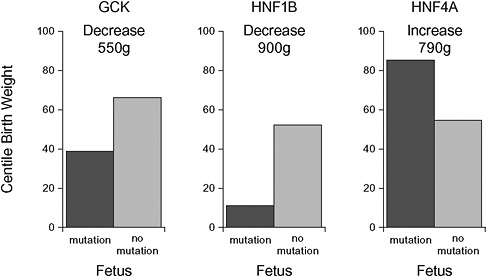 FIGURE 4-2 The impact on birth weight of a fetus inheriting three common maturity-onset diabetes in the young (MODY) gene mutations. Birth weight is presented in centile birth weight with the fetus inheriting the mutation in black and the fetus without the mutation in gray.