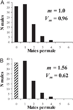 FIGURE 10.1 The effect of excluding nonmating males from estimates of average male mating success [cf. Shuster and Wade (2003)]. Shown are the outcomes for 100 randomly mating males and females when females are assumed to mate only once but males may mate repeatedly. m, mean mating success; Vm, variance in mating success when all males are included in parameter estimates (A) and when the zero class of males (hatched bars) is excluded from parameter estimates (B). The effect of omitting nonmating individuals from estimates of mating success tends to overestimate the average mating success and underestimate the variance in mating success for males.