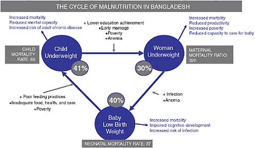 FIGURE 7-3 The cycle of malnutrition in Bangladesh.