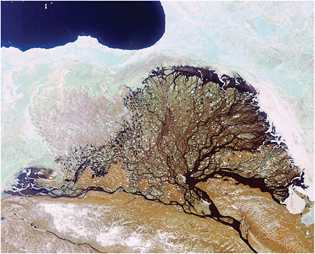 FIGURE 1.6 Interactions among climate change, biota, and landscapes. The vast Lena River delta, the largest delta in the Arctic region, formed as sediment from the Lena River was deposited where it flows into the Laptev Sea. Tundra wetlands in this delta store large amounts of carbon that potentially could be released by modern global warming. Attributed largely to human activity, warming accelerates permafrost thawing and the erosion of organic-rich delta sediments. Envisat image acquired on June 15, 2006; width of image ~350 kilometers. SOURCE: European Space Agency.
