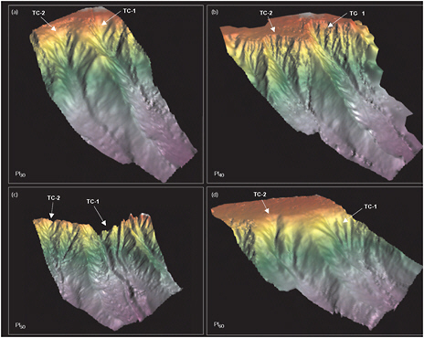 FIGURE 2.3 High-resolution seismic reflection has opened the way to “seismic geomorphology,” including temporal evolution of features like the submarine landscapes visualized here. These topographic maps (field of view 8 × 12 kilometers, relief of approximately 600 meters, with 4 times vertical exaggeration) represent a time series of Pliocene (circa 3.5 million years ago) seascapes (the oldest is A, the youngest is D) now buried at depth offshore of the Ebro Delta in the northwest Mediterranean Sea. Reflections from deeply buried surfaces were extracted from a three-dimensional seismic volume to produce these maps of ancient seascapes. SOURCE: Bertoni and Cartwright (2005). Reproduced with permission of Blackwell Publishing Ltd.