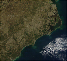 FIGURE 2.5 The cuspate capes of North Carolina, examples of a feature common on sandy coasts, illustrate the emergence of a large-scale structure from the interplay of waves and beach sand. Their characteristic scale is much greater than that of the waves that create them. SOURCE: Jeff Schmaltz, MODIS Rapid Response Team, NASA/GSFC.