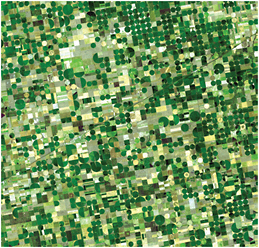 FIGURE 2.7 The unmistakable human footprint dominates many landscapes. Even someone unfamiliar with central-pivot irrigation systems would have no trouble identifying this pattern as unnatural. Central-pivot irrigation systems tap subsurface groundwater. Each circle can be very large—51 hectares, or 126 acres or more in some places. SOURCE: NASA/GSFC/METI/ERSDAC/JAROS and U.S.-Japan ASTER Science Team.