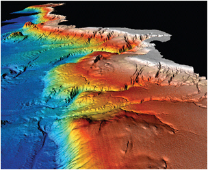 FIGURE 2.8 The submarine landscape off California revealed by high-resolution sonar. SOURCE: Image courtesy of Lincoln Pratson, Duke University.