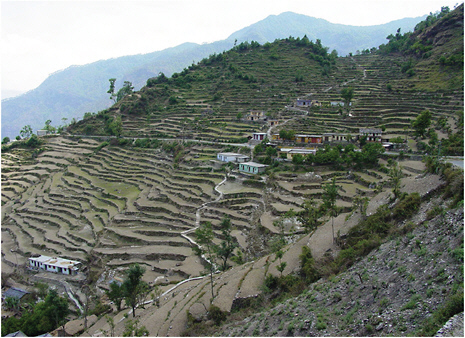 FIGURE 2.23 Agricultural (khet) terraces in the Garhwal Himalayas, Nepal. The use of fertilizers for agriculture has dramatically increased the input of biologically available nitrogen into terrestrial ecosystems. SOURCE: Photo courtesy of Richard Marston, Kansas State University.
