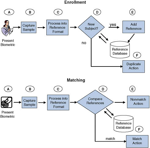 FIGURE 2.1 Idealized operations of a generic biometric system.