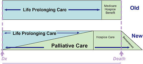 FIGURE 12-3 Conceptual shift for palliative care.