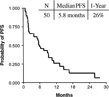 FIGURE 1a Clinically enriched patients. Non-smoking women with a particular type of lung cancer are more likely to respond to erlotinib or gefitinib than other patients with lung cancer. Patients meeting these clinical characteristics have a median progression-free survival (PFS) of about 6 months.