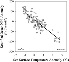 FIGURE 9.3 Relationship between changes in sea surface temperature and net primary productivity (NPP) from 1999 to 2004 based on satellite observations. Warmer ocean temperatures typically lead to reduction in the productivity of phytoplankton, which means that they remove less carbon from the atmosphere. SOURCE: Updated from Behrenfeld et al. (2006).