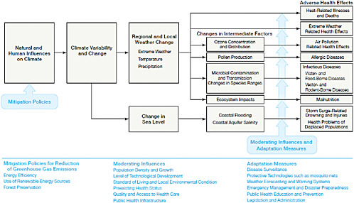 FIGURE 11.1 Simplified illustration of the mechanisms through which climate change can affect health outcomes. The blue text provides lists of policies or factors that can influence these health outcomes. Mitigation policies can potentially reduce the magnitude of climate change, while moderating influences (such as access to quality health care) or adaptation measures (such as improved public health education) could lessen the impact of adverse health effects. Mitigation and adaptation strategies will vary in the time necessary to implement them and realize their effects. SOURCE: Modified from Haines and Patz (2004).