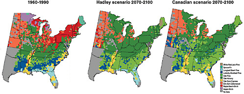 FIGURE 2.7 Potential changes in the geographic ranges of the dominant forest types in the eastern United States under projections of future climate change. Many forest types shift their ranges northward or shrink in areas, while some expand their areas. For further details see Figure 9.2. SOURCE: USGCRP (2001).