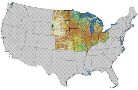 FIGURE 1 The FML Study area with the National Landuse/Landcover Database 2001/2002.