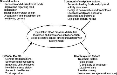 FIGURE 1-3 Schematic framework of factors affecting blood pressure.