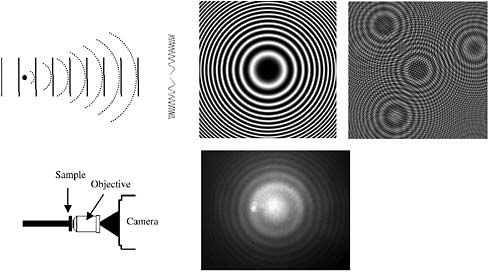 FIGURE 1 Top left: Hologram formation from a point source showing a plane reference wave interfering with a spherical scattered wave to produce (center, calculated) a Gabor zone plate pattern. Right, calculated: A set of point scatterers yields the coherent superposition of zone plates. Bottom center: Diagram of in-line holographic instrument (bottom left); image of hologram from 1 μm diameter polystyrene particle in water.