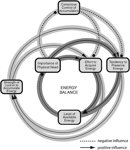 FIGURE 4-6 Simplified version of the causal loop obesity system map showing the interrelationships among various contributors to energy balance. The map was developed by the UK Foresight Group to understand and chart the obesity epidemic in order to inform a national action plan.