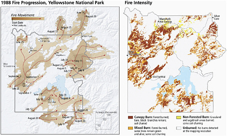 FIGURE 1 Maps showing the spatial and temporal characteristics of the massive fires that swept through Yellowstone National Forest in summer 1988. Geographical visualizations of this sort enhance public understanding of what happened and help policy makers plan for the future. SOURCE: Copyright 2009, University of Oregon, Atlas of Yellowstone (in production); Rick Wallen, Yellowstone National Park.