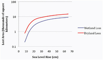 FIGURE 5.4 Losses attributable to sea level rise. Estimates of wetland and dry-land losses for developed (Panel A) and developing countries (Panel B) correlated with sea level rise along a socioeconomic scenario that tracks IS92a. Source: Derived directly from Tol (2007) as depicted in Nicholls et al. (2007: Figure 6.10).