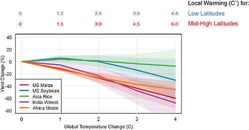 FIGURE O.5 Projected changes in yields of several crops worldwide as a function of global warming (relative to pre-industrial temperatures) in the absence of adaptation. Best estimates and likely uncertainty ranges are shown. {5.1}