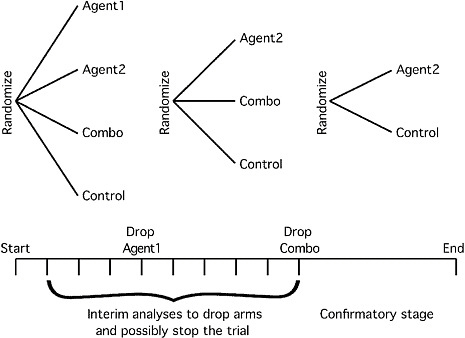 FIGURE 2-1 Example of a Phase II/III trial for investigating several possible treatment strategies. Several treatment arms are considered at the start of the trial (in this case, two individual agents and their combination, but there are many other possibilities). As information accrues, arms that are not performing as well as other arms can be dropped, and if none of the experimental arms are performing well relative to control then the trial can be stopped. A goal may be to reduce to a two-armed trial by particular time points. Accrual continues without stopping for interim analyses, and accrual might be ramped up on the basis of interim analyses as the trial moves into confirmatory mode. The sample size of the confirmatory stage can be determined on the basis of the performance of the experimental arms relative to control in the early stages of the trial.