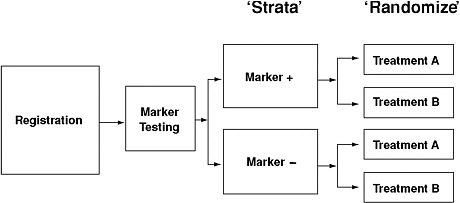 FIGURE 2-2 Example of a retrospective/prospective approach to biomarker validation. The benefit of treatment is tested separately in the two marker-defined patient populations.