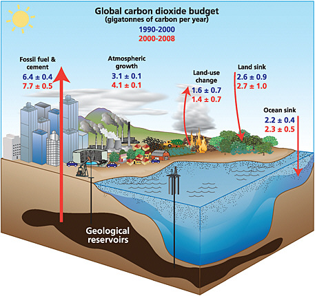 FIGURE 1.3 The global carbon cycle and changes in the sizes of CO2 reservoirs over the last two decades. All values are billions of metric tons of carbon. Arrows show annual fluxes. Values for the 1990s are in blue; those for 2000-2008 are in red. SOURCE: Le Quéré (2009), International Geosphere-Biosphere Programme/Global Carbon Project. Data from Le Quéré et al. (2009).