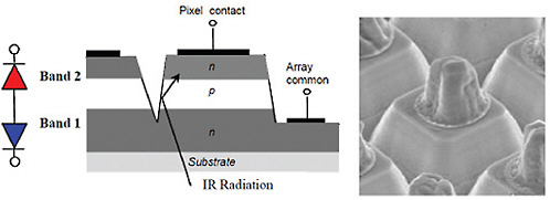 FIGURE 3-3 A cross section diagram (left) and scanning electron microscope image (right) illustrate the architecture and morphology of single-bump two-color detectors. The lower junction (Band 1) responds to shorter-wavelength radiation, while the upper junction (Band 2) responds to longer wavelengths. SOURCE: King, Donald F., Jason S. Graham, Adam M. Kennedy, Richard N. Mullins, Jeffrey C. McQuitty, William A. Radford, Thomas J. Kostrzewa, Elizabeth A. Patten, Thomas F. Mc Ewan, James G. Vodicka, and John J. Wootan. 2008. 3rd-generation MW/LWIR sensor engine for advanced tactical systems. Proceedings of SPIE 6940:69402R.