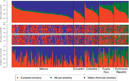 FIGURE 8.3 Genome-wide and locus-specific ancestry estimates for Mexicans, Ecuadorians, Colombians, Puerto Ricans, and Dominicans. Shown for K = 3, clustering of the Hispanic/Latino individuals on the autosomes (Top) and on the X chromosome (Bottom). Individuals are shown as vertical bars shaded in proportion to their estimated ancestry within each cluster. Local ancestry at each locus is shown for each individual on chromosome 1 (Middle). The X chromosome shows greater Native American ancestry and greater variability in African ancestry, with reduced European ancestry.