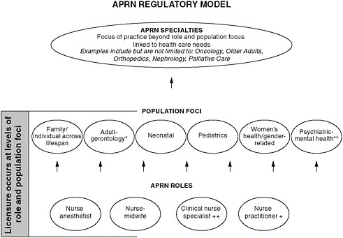 FIGURE D-1 APRN Regulatory Model