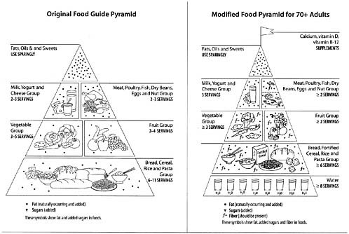 FIGURE 5-1 The original Food Guide Pyramid and the modified Food Guide Pyramid for adults more than 70 years of age.