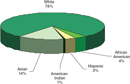 FIGURE 2-7 Doctoral scientists and engineers employed in four-year institutions, by race/ethnicity, 2006.
