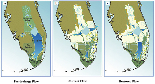 FIGURE 2-1 Water flow in the Everglades under (a) historical conditions, (b) current conditions, and (c) conditions envisioned upon completion of the Comprehensive Everglades Restoration Plan (CERP).