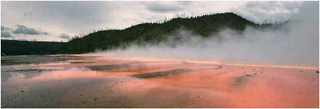 Grand Prismatic Spring, a geothermal hot spring in Yellowstone and home to microbes that have adapted to this extreme environment.