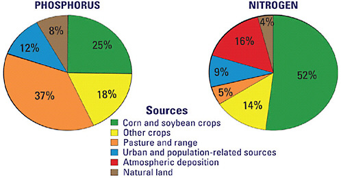 FIGURE 6-3 Sources of nutrients delivered to the Gulf of Mexico. Some other estimates of these relative contributions (e.g., USEPA, 2007) produce somewhat different values.