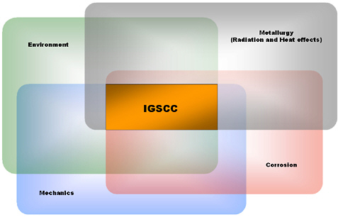FIGURE 3.13 Areas that are related in intergranular stress corrosion cracking (IGSCC).