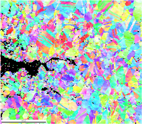 FIGURE 3.18 Electron backscatter diffraction image of a fatigue crack in alloy X. Bar is 200 µm. Colors represent specific crystal orientations. SOURCE: Courtesy of J. Burns and M. Frary, Boise State University, from J. Burns, “High Temperature Fatigue Crack Growth Behavior and Microstructural Evolution in Alloy 230,” M.S. thesis, Boise State University, 2010.