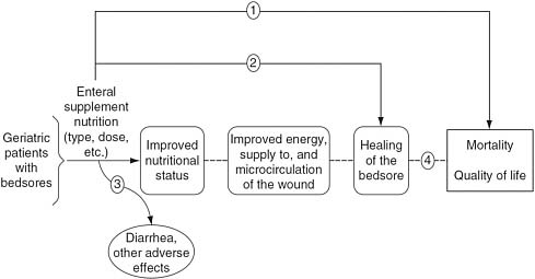 FIGURE 2-1 Analytic framework for a new enteral supplement to heal bedsores.