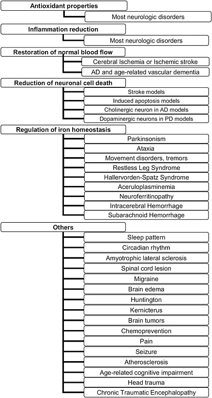 FIGURE C-20 Non-exhaustive list of potential neurological benefits of regulating HO-1 with polyphenols.