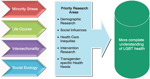 FIGURE S-1 Research agenda. A number of different conceptual perspectives can be applied to priority areas of research in order to further the evidence base for LGBT health issues.